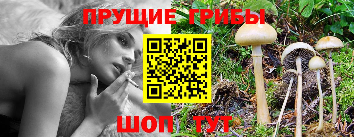 Псилоцибиновые грибы Psilocybe  Галлюциногенные грибы мицелий  Вход с VPN  Зеленодольск 